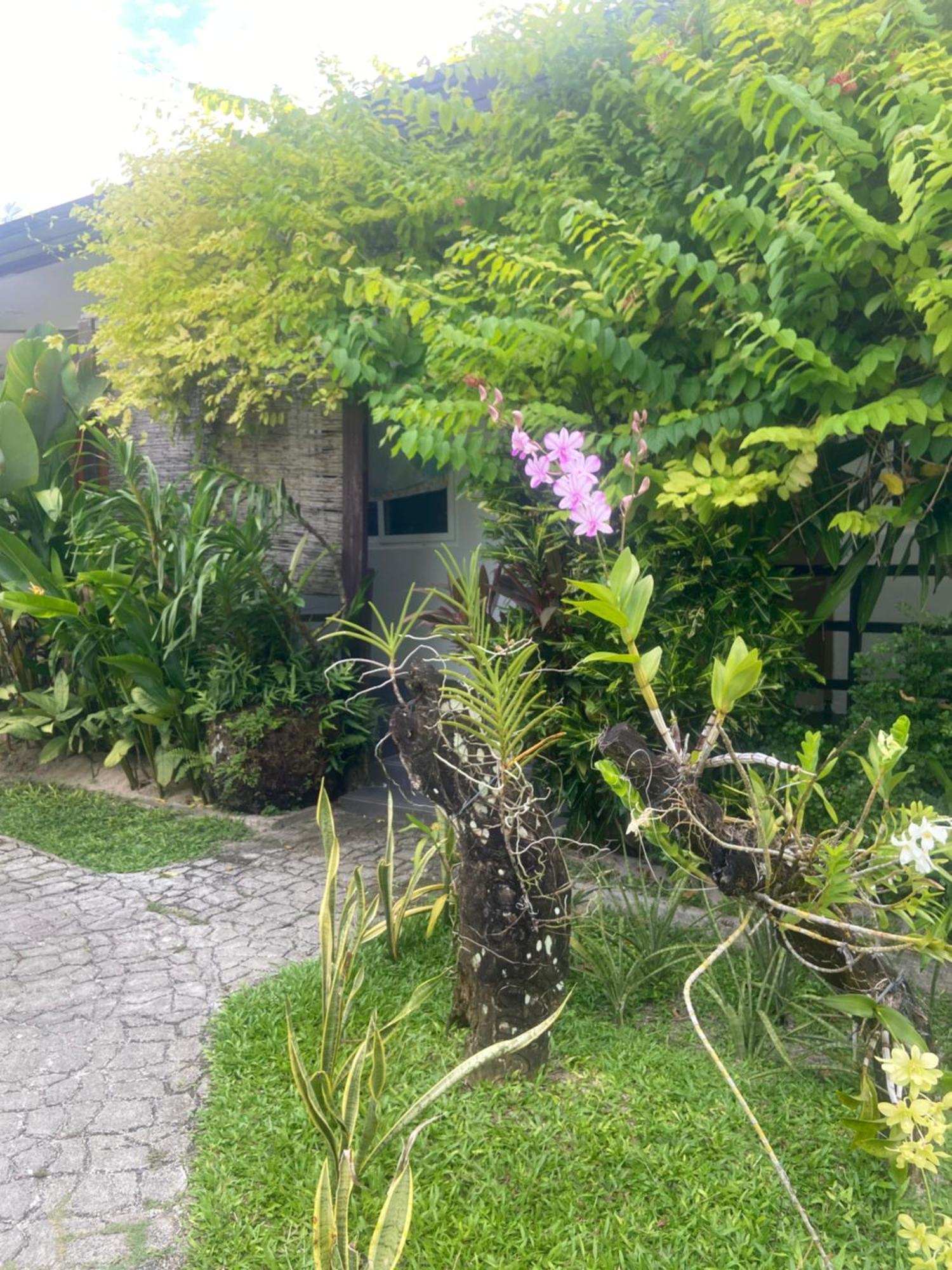 Vivo Siargao Hotel General Luna  Exterior photo